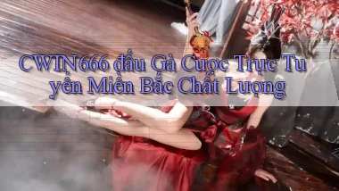 cwin666  đấu gà cược trực tuyến miền bắc chất lượng