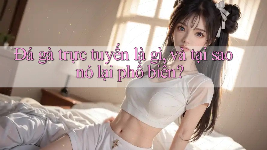 Đá gà trực tuyến là gì, và tại sao nó lại phổ biến?