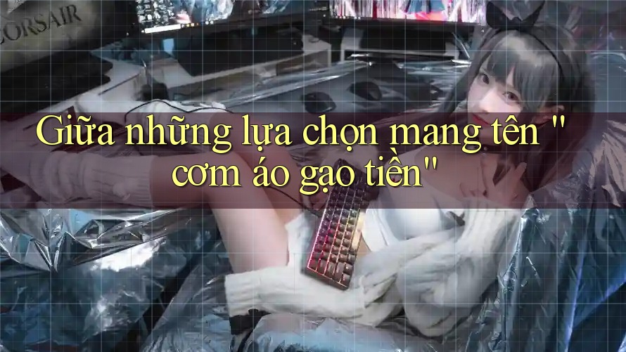 Giữa những lựa chọn mang tên “cơm áo gạo tiền”