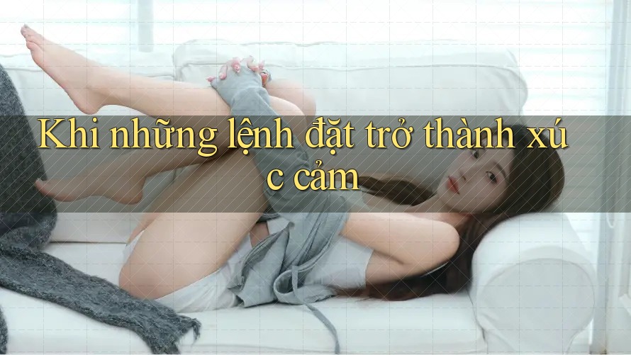 Khi những lệnh đặt trở thành xúc cảm Khi những lệnh đặt trở thành xúc cảm