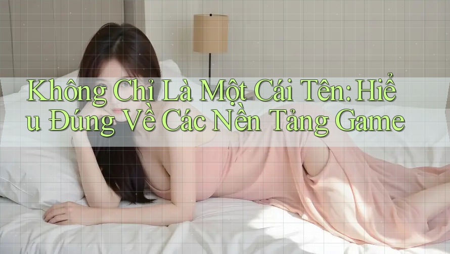 Không Chỉ Là Một Cái Tên: Hiểu Đúng Về Các Nền Tảng Game Không Chỉ Là Một Cái Tên: Hiểu Đúng Về Các Nền Tảng Game