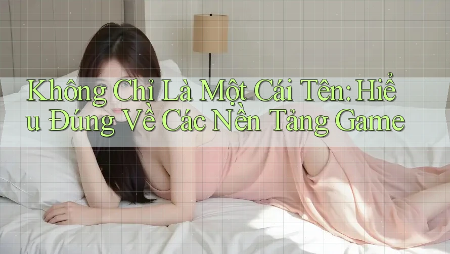 Không Chỉ Là Một Cái Tên: Hiểu Đúng Về Các Nền Tảng Game