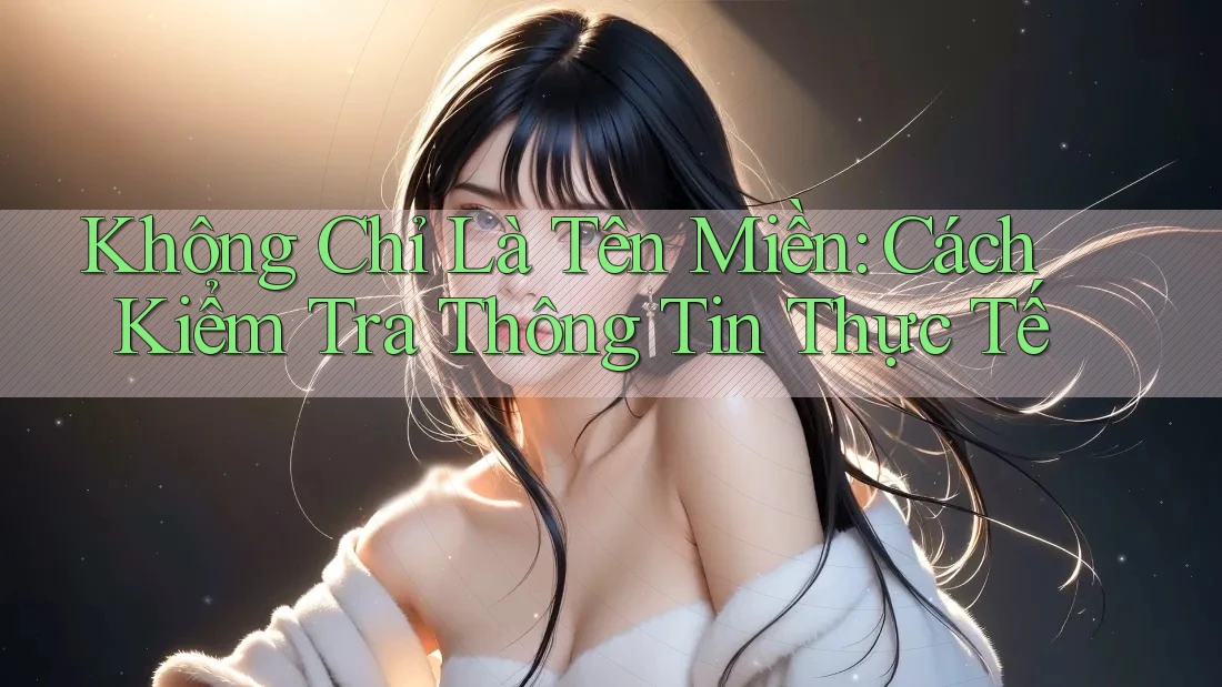 Không Chỉ Là Tên Miền: Cách Kiểm Tra Thông Tin Thực Tế