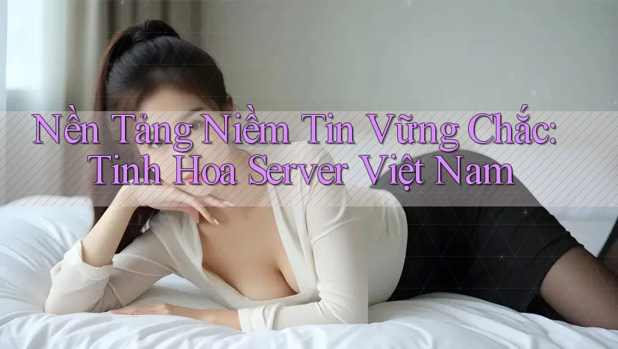 Nền Tảng Niềm Tin Vững Chắc: Tinh Hoa Server Việt Nam