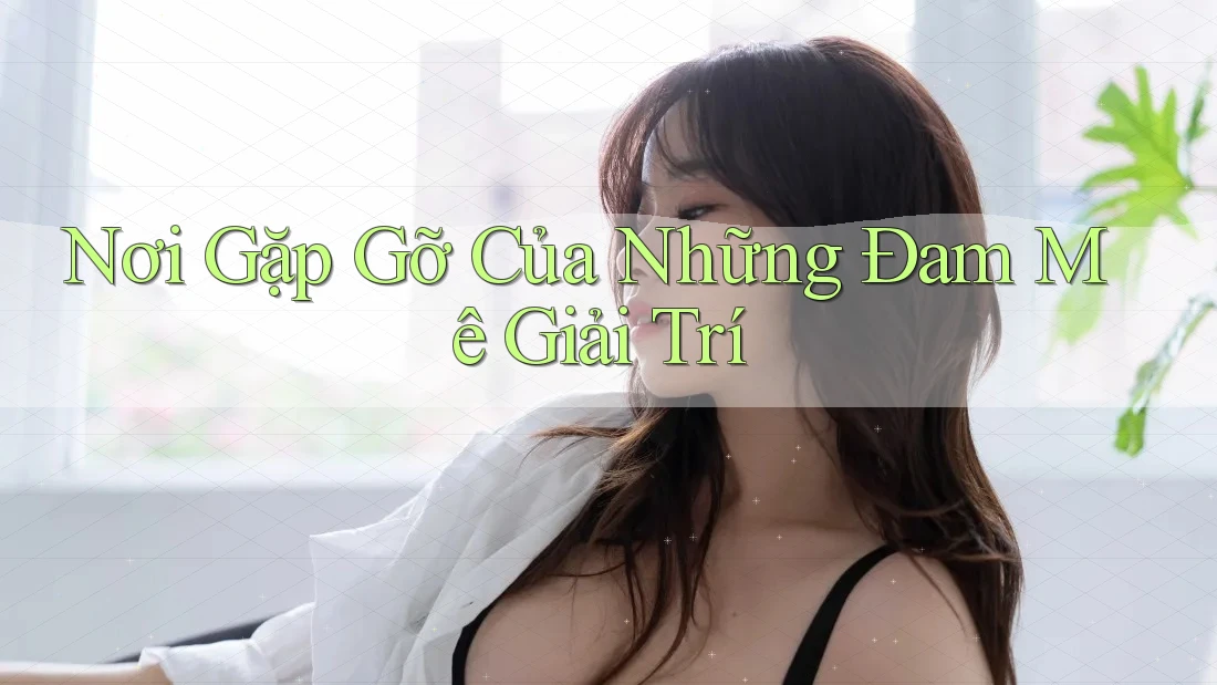 Nơi Gặp Gỡ Của Những Đam Mê Giải Trí