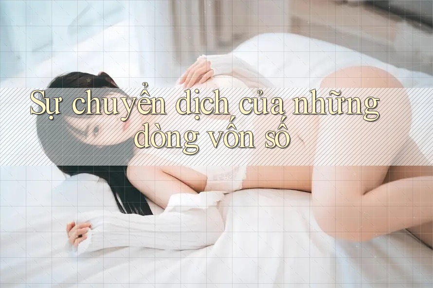 Sự chuyển dịch của những dòng vốn số