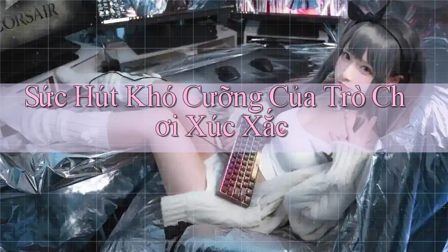 Sức Hút Khó Cưỡng Của Trò Chơi Xúc Xắc