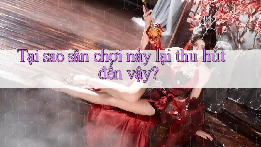 Tại sao sân chơi này lại thu hút đến vậy?
