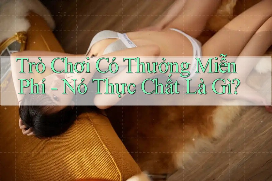Trò Chơi Có Thưởng Miễn Phí - Nó Thực Chất Là Gì?